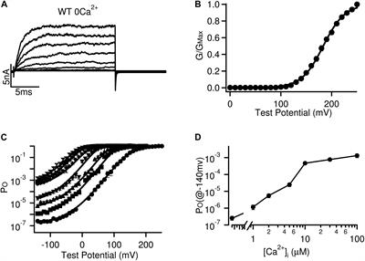 BK Channel Gating Mechanisms: Progresses Toward a Better Understanding of Variants Linked Neurological Diseases